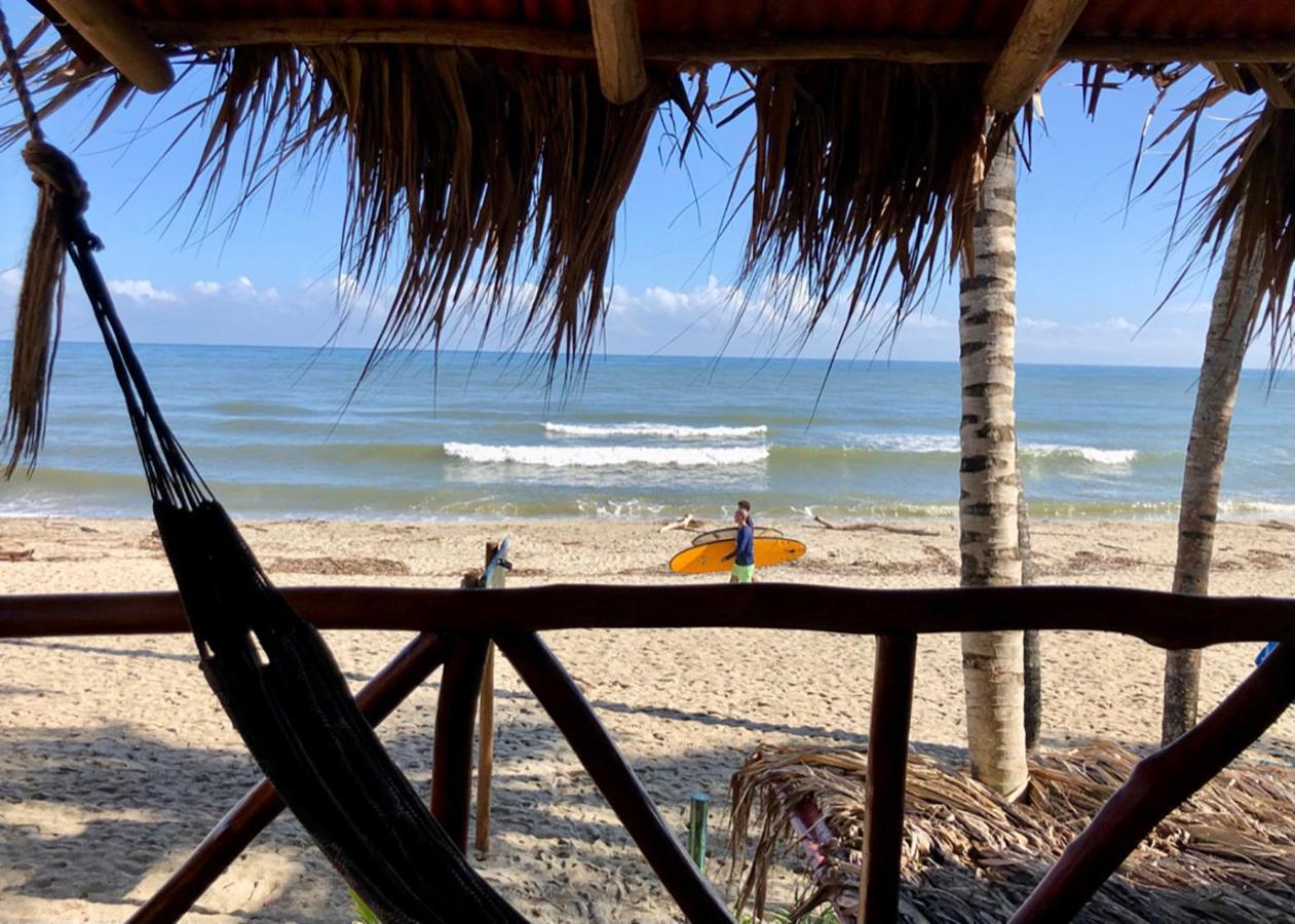 Palmario Hostal Guachaca Exterior photo